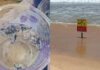 Don’t touch: Deadly jellyfish washing up on Phuket shores
