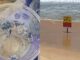 Don’t touch: Deadly jellyfish washing up on Phuket shores PAAAAA1BMVEWurq51dlI4AAAAAXRSTlMmkutdmwAAAA5JREFUKM9jGAWjYJABAAKUAAHoEAeuAAAAAElFTkSuQmCC