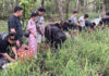 Thai police arrest 16 fleeing Poipet scam compound Thai police arrest 16 fleeing Poipet scam compound
