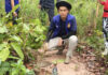 Bullfrog traps removed due to extinction concerns Bullfrog traps removed due to extinction concerns