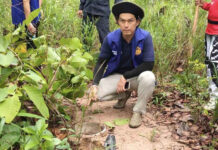 Bullfrog traps removed due to extinction concerns Bullfrog traps removed due to extinction concerns