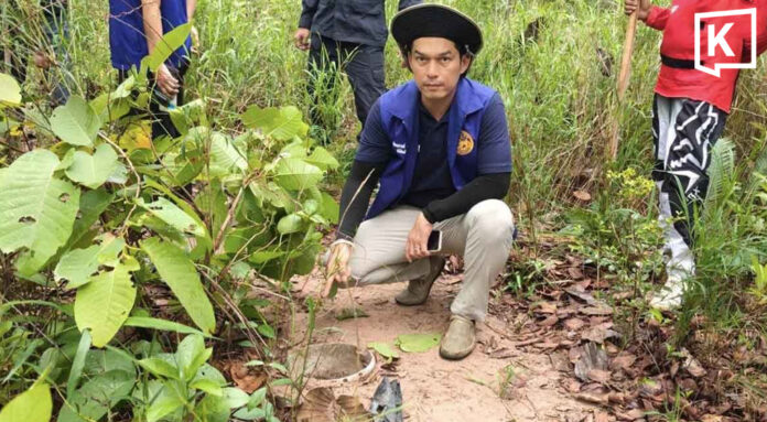 Bullfrog traps removed due to extinction concerns