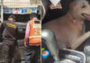 Two dogs rescued after hours trapped in hot car Two dogs rescued after hours trapped in hot car