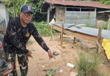Wild elephant kills patrol leader in Buriram village Wild elephant kills patrol leader in Buriram village