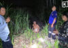 Drone spots missing man lying in forest after hours-long search