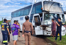 Factory bus slams into school transport, injuring 24 students