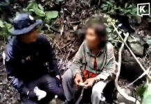 Missing mushroom forager found alive after three days in Phetchabun forest