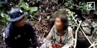 Missing mushroom forager found alive after three days in Phetchabun forest