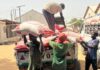 Thailand donates 12.4 tonnes of rice to WFP for food-insecure communities in north-east Nigeria