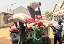 Thailand donates 12.4 tonnes of rice to WFP for food-insecure communities in north-east Nigeria