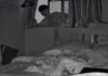 Woman discovers intruder on CCTV after cat’s unusual behaviour