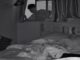 Woman discovers intruder on CCTV after cat’s unusual behaviour PAAAAA1BMVEWurq51dlI4AAAAAXRSTlMmkutdmwAAAA5JREFUKM9jGAWjYJABAAKUAAHoEAeuAAAAAElFTkSuQmCC
