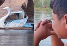 Disabled man drowns after pedal boat capsizes in river Disabled man drowns after pedal boat capsizes in river