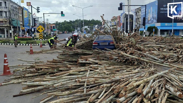 Eucalyptus load spills after truck loses control