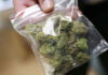 Health Ministry cracks down on fake cannabis prescription Health Ministry cracks down on fake cannabis prescription