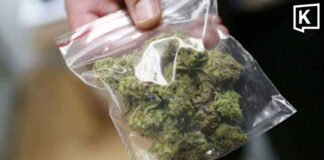 Health Ministry cracks down on fake cannabis prescription Health Ministry cracks down on fake cannabis prescription