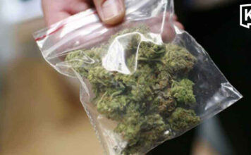 Health Ministry cracks down on fake cannabis prescription Health Ministry cracks down on fake cannabis prescription