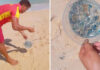 Portuguese Man o’ War Spotted at 3 Phuket Beaches Portuguese Man o’ War Spotted at 3 Phuket Beaches