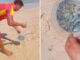 Portuguese Man o’ War Spotted at 3 Phuket Beaches Portuguese Man o’ War Spotted at 3 Phuket Beaches