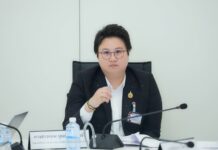 DE probes alleged exposure of 36 million Thai personal records