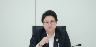 DE probes alleged exposure of 36 million Thai personal records