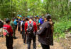 Search Suspended for Missing Mushroom Forager in Thap Lan Search Suspended for Missing Mushroom Forager in Thap Lan