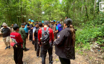 Search Suspended for Missing Mushroom Forager in Thap Lan Search Suspended for Missing Mushroom Forager in Thap Lan