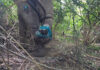 Two rangers hurt as injured wild elephant charges team Two rangers hurt as injured wild elephant charges team