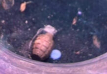 Suspected grenade found outside Bangkok bank branch Suspected grenade found outside Bangkok bank branch