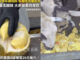 Chinese fruit seller goes viral for feeding Thai durians to sheep Chinese fruit seller goes viral for feeding Thai durians to sheep