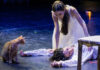 Ginger cat steals spotlight during ‘Romeo and Juliet’ ballet in Turkey Ginger cat steals spotlight during ‘Romeo and Juliet’ ballet in Turkey