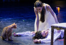 Ginger cat steals spotlight during ‘Romeo and Juliet’ ballet in Turkey Ginger cat steals spotlight during ‘Romeo and Juliet’ ballet in Turkey
