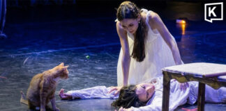 Ginger cat steals spotlight during ‘Romeo and Juliet’ ballet in Turkey Ginger cat steals spotlight during ‘Romeo and Juliet’ ballet in Turkey