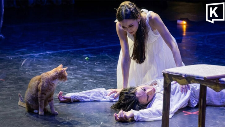 Ginger cat steals spotlight during ‘Romeo and Juliet’ ballet in Turkey
