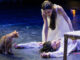 Ginger cat steals spotlight during ‘Romeo and Juliet’ ballet in Turkey Ginger cat steals spotlight during ‘Romeo and Juliet’ ballet in Turkey