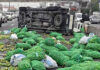 Lorry overturns after tyre blowout, spilling 100 sacks of limes across road Lorry overturns after tyre blowout, spilling 100 sacks of limes across road