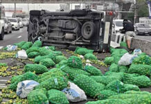 Lorry overturns after tyre blowout, spilling 100 sacks of limes across road Lorry overturns after tyre blowout, spilling 100 sacks of limes across road