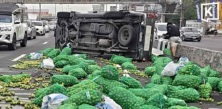 Lorry overturns after tyre blowout, spilling 100 sacks of limes across road Lorry overturns after tyre blowout, spilling 100 sacks of limes across road