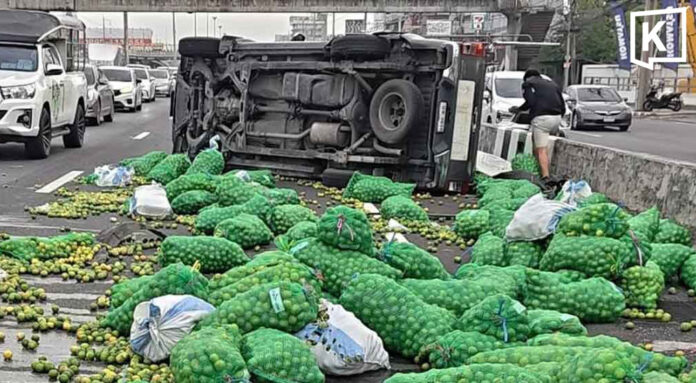lime_headline_0 Lorry overturns after tyre blowout, spilling 100 sacks of limes across road