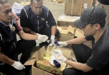 Police seize 220,000 meth pills hidden in parcel boxes addressed to deceased person Police seize 220,000 meth pills hidden in parcel boxes addressed to deceased person