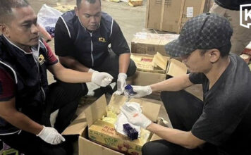 Police seize 220,000 meth pills hidden in parcel boxes addressed to deceased person Police seize 220,000 meth pills hidden in parcel boxes addressed to deceased person