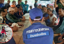 Search enters third day for missing hiker in Trang Search enters third day for missing hiker in Trang