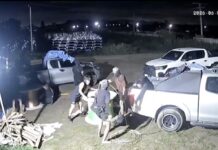 Myanmar gang arrested after tying up guard, stealing 600,000-baht cables in Chonburi