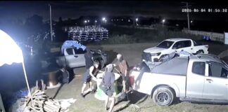 Myanmar gang arrested after tying up guard, stealing 600,000-baht cables in Chonburi