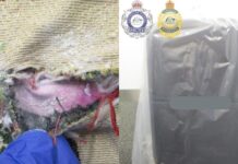 Thai airline worker charged over alleged heroin smuggling at Melbourne airport