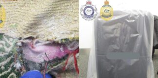 Thai airline worker charged over alleged heroin smuggling at Melbourne airport