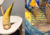 Passenger nearly flagged at airport after bamboo shoot mistaken for ivory