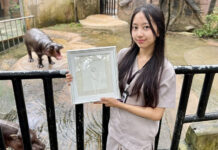 Khao Kheow Open Zoo unveils limited Moo Deng tail print keepsake Khao Kheow Open Zoo unveils limited Moo Deng tail print keepsake