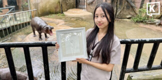 Khao Kheow Open Zoo unveils limited Moo Deng tail print keepsake Khao Kheow Open Zoo unveils limited Moo Deng tail print keepsake