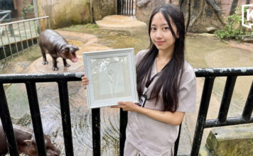 Khao Kheow Open Zoo unveils limited Moo Deng tail print keepsake Khao Kheow Open Zoo unveils limited Moo Deng tail print keepsake
